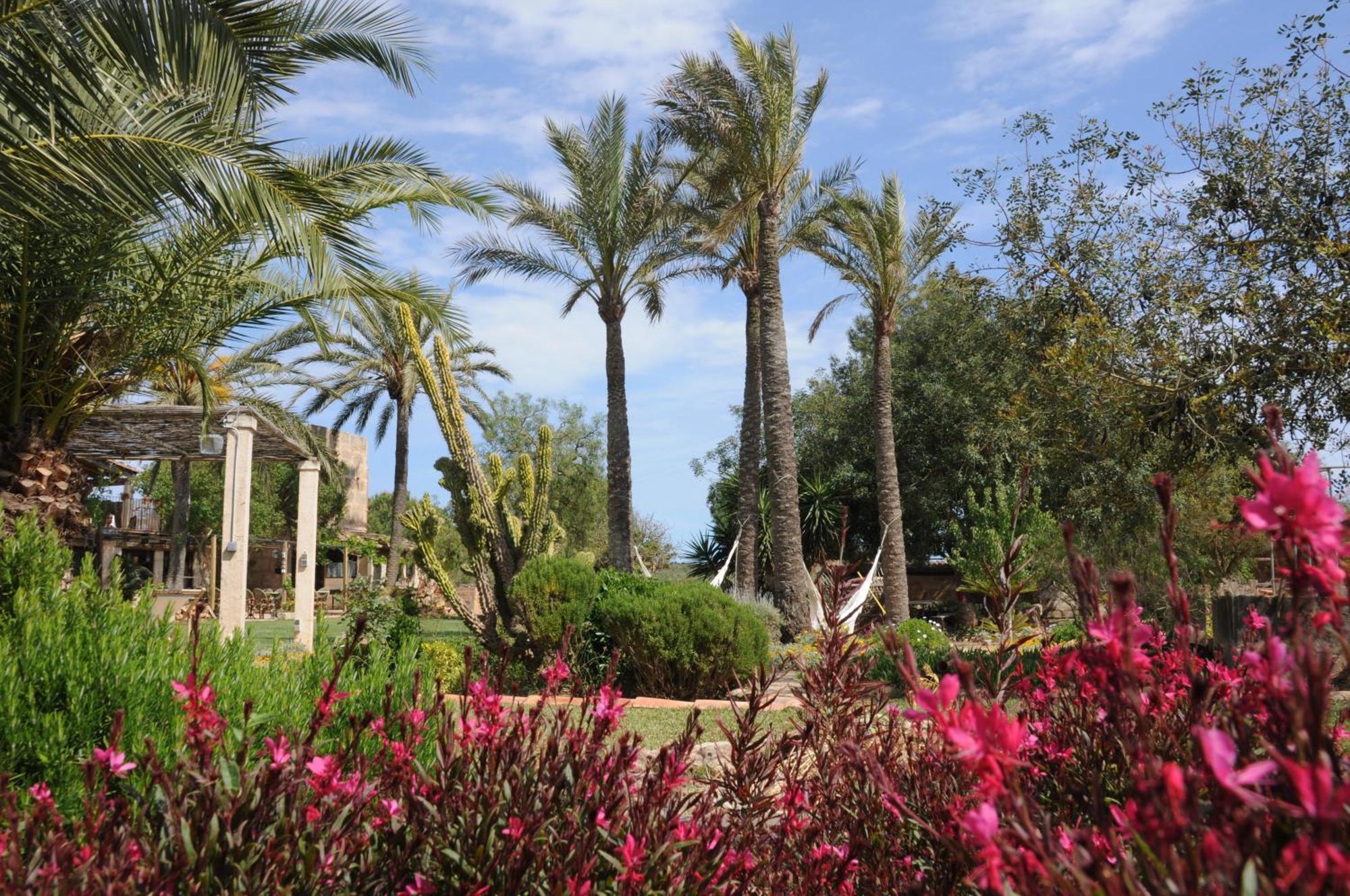 Agroturismo Finca Sant Blai Campos  Exterior photo