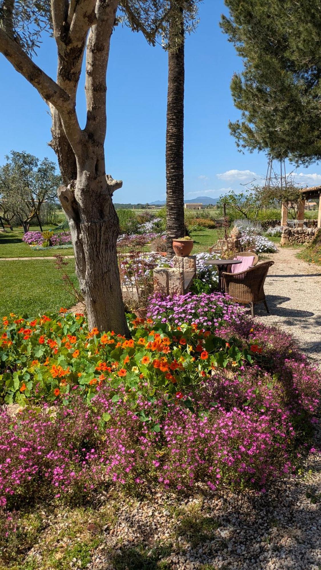 Agroturismo Finca Sant Blai Campos  Exterior photo