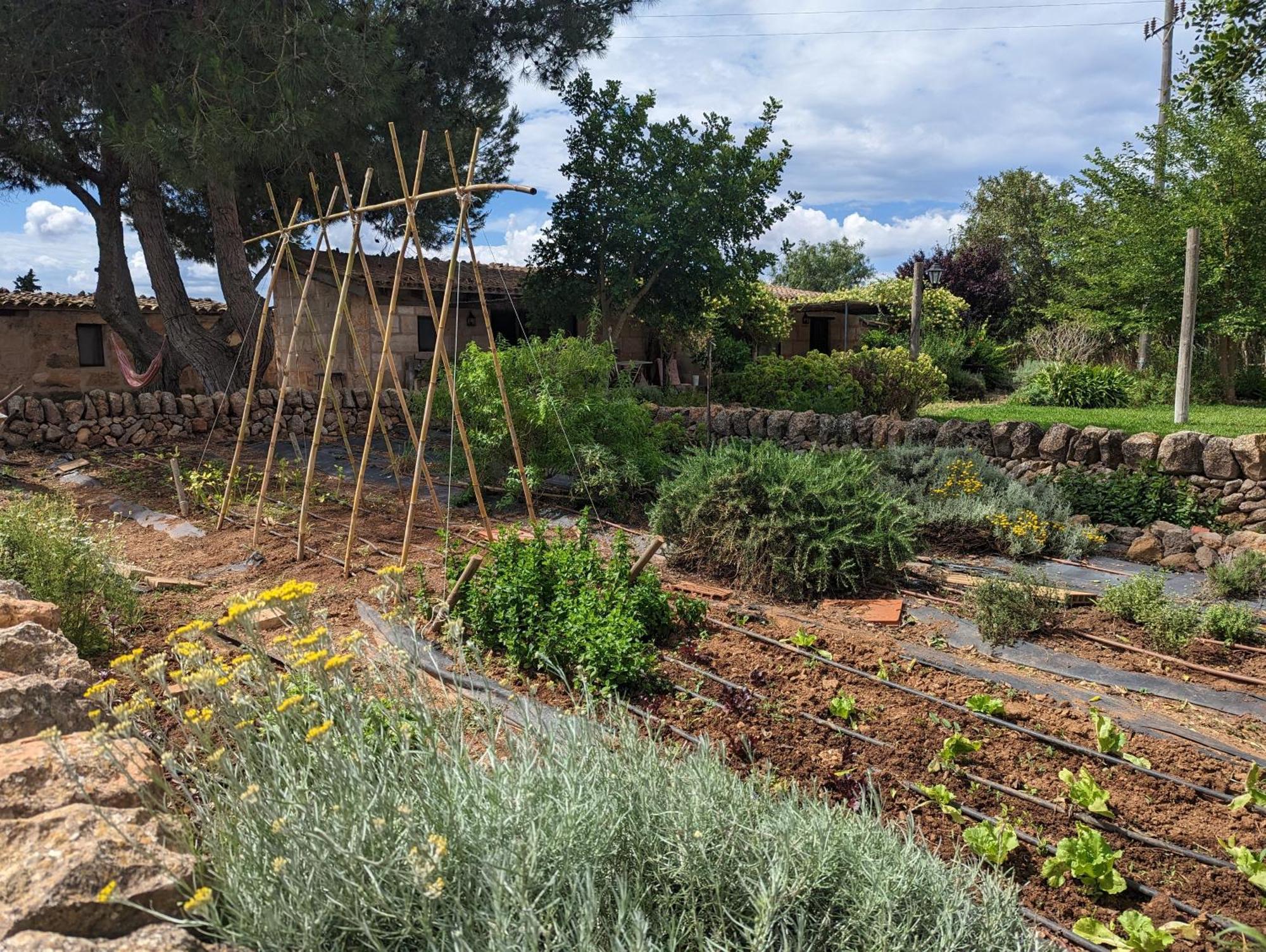 Agroturismo Finca Sant Blai Campos  Exterior photo
