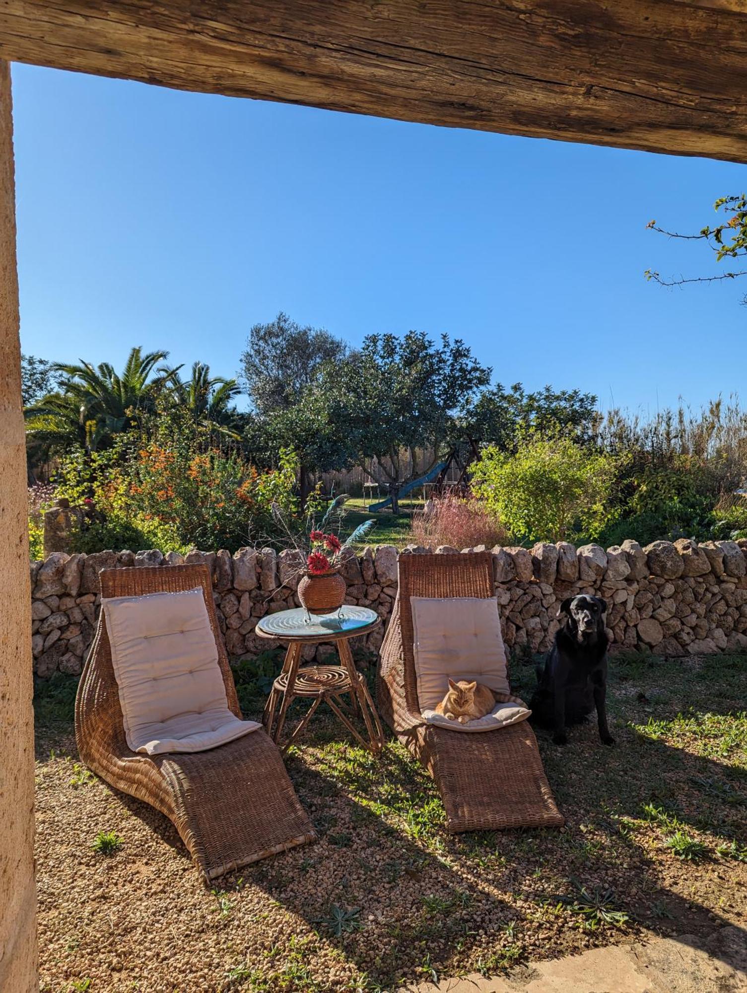 Agroturismo Finca Sant Blai Campos  Exterior photo